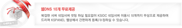 웹DNS 10개 무료제공