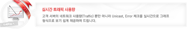 실시간 트래픽 사용량